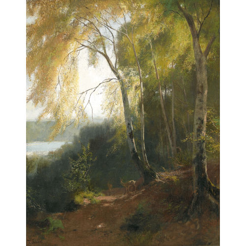 TRAUGOTT SCHIESS : Sonnenbeschienene Waldlandschaft mit Reh (DOBIASCHOFSKY AUKTIONEN AG)