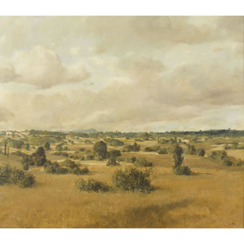 RUDOLF M�LLER : 'Les Marais de Margencel' (DOBIASCHOFSKY AUKTIONEN AG)