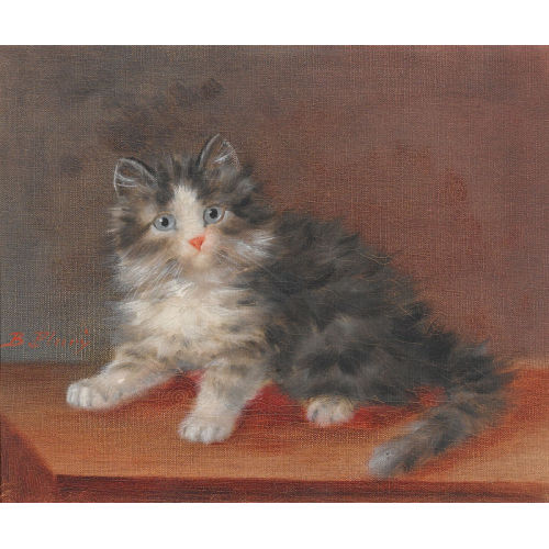BURKHARD (GEN. KATZEN-FLURY) FLURY : K�tzchen (DOBIASCHOFSKY AUKTIONEN AG)