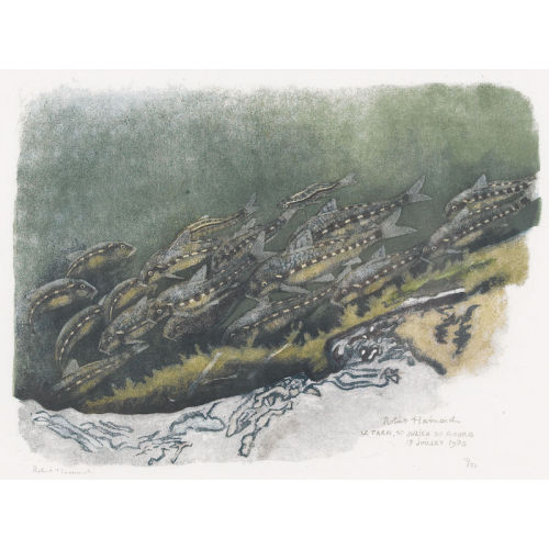ROBERT HAINARD : 'Goujons et deux vairons' (DOBIASCHOFSKY AUKTIONEN AG)