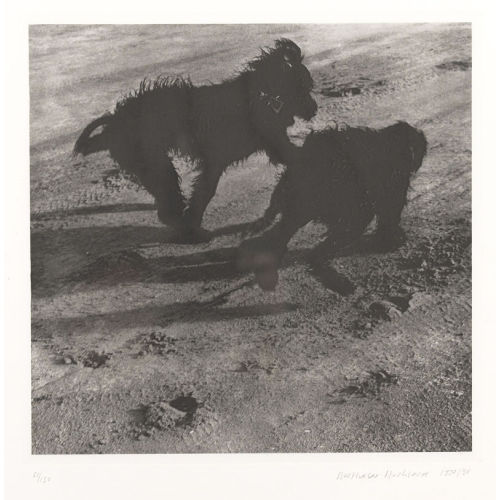 BALTHASAR BURKHARD : 'Chica und Tzara' (DOBIASCHOFSKY AUKTIONEN AG)