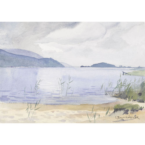 CHRISTIAN BAUMGARTNER : 'Am Bielersee' (DOBIASCHOFSKY AUKTIONEN AG)