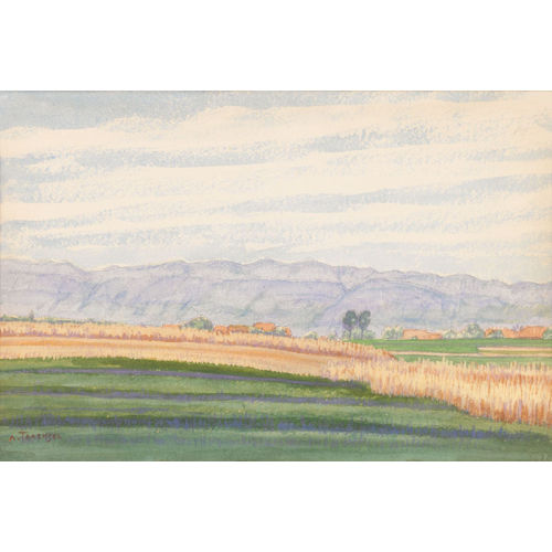 ALBERT TRACHSEL : Weite Sommerlandschaft (DOBIASCHOFSKY AUKTIONEN AG)