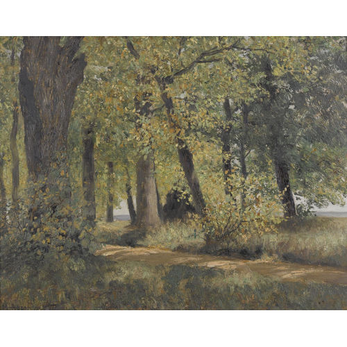 MAX ASPERGER : Lichter Waldweg (DOBIASCHOFSKY AUKTIONEN AG)