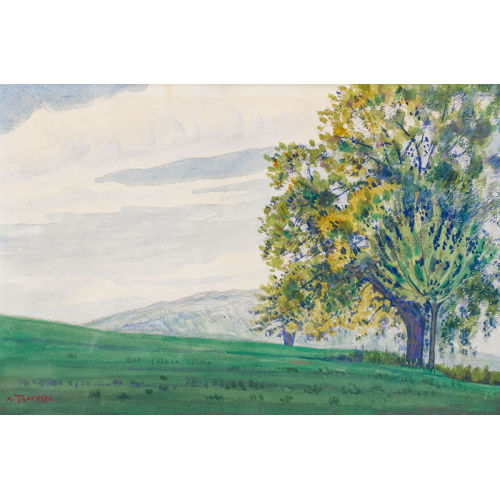 ALBERT TRACHSEL : Gr�ne Wiesenlandschaft mit B�umen (DOBIASCHOFSKY AUKTIONEN AG)