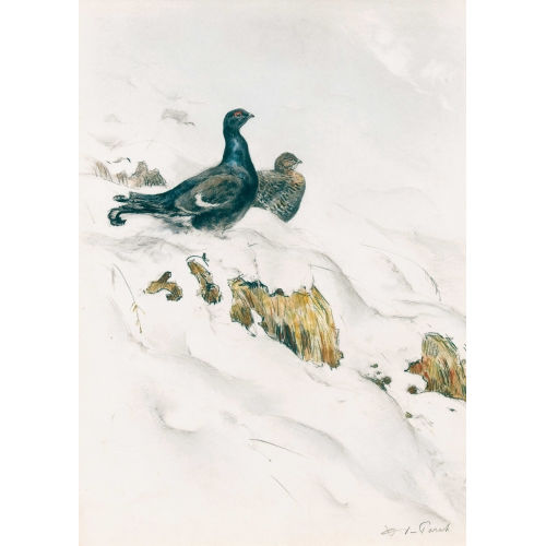 XAVIER DE PORET : Auerhahnpaar im Schnee (DOBIASCHOFSKY AUKTIONEN AG)