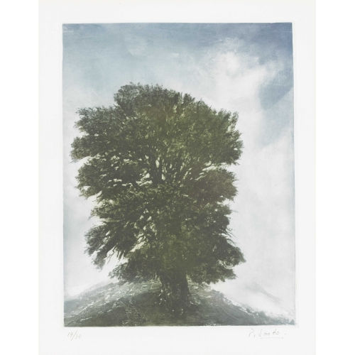 PIETRO (EIGTL. SCHNEIDER SARTO : 'L′arbre' (DOBIASCHOFSKY AUKTIONEN AG)
