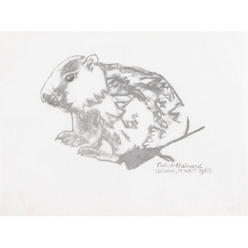 ROBERT HAINARD : 'Petite marmotte' (DOBIASCHOFSKY AUKTIONEN AG)