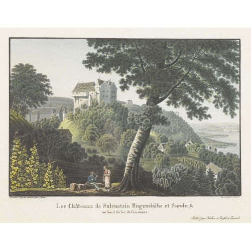 PAUL JULIUS ARTER : 'Les Ch�teaux de Salenstein Eugensh�he et Sandeck au bord du lac de Constance' (DOBIASCHOFSKY AUKTIONEN AG)