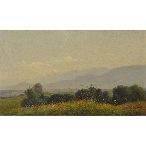 LOUIS MENNET : Weite Landschaft mit bl�hender Wiese (DOBIASCHOFSKY AUKTIONEN AG)