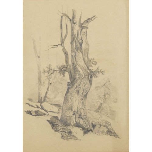 ALEXANDRE CALAME : Knorriger Baumstamm (DOBIASCHOFSKY AUKTIONEN AG)