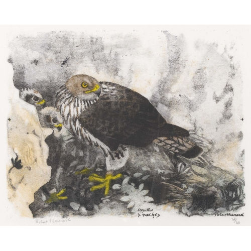 ROBERT HAINARD : 'Aire d′aigle de Bonelli' (DOBIASCHOFSKY AUKTIONEN AG)