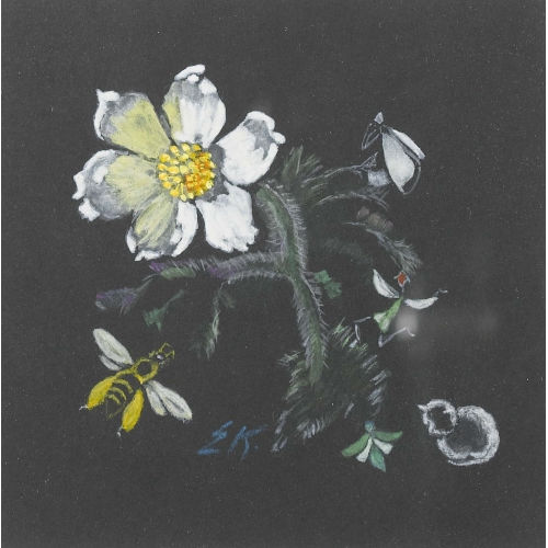 ERNST KREIDOLF : Anemone mit Biene und Katze auf schwarzem Grund (DOBIASCHOFSKY AUKTIONEN AG)