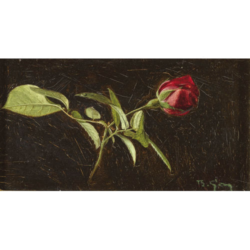 BERTHE GAY : Rose (DOBIASCHOFSKY AUKTIONEN AG)