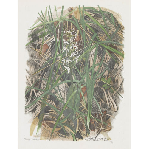 ROBERT HAINARD : 'Orchis � deux feuilles' (DOBIASCHOFSKY AUKTIONEN AG)