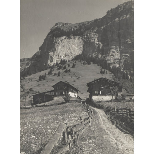 ALBERT STEINER : Konvolut (DOBIASCHOFSKY AUKTIONEN AG)