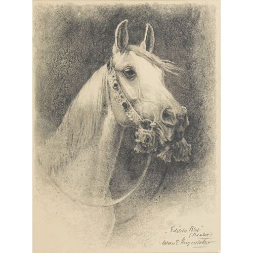 IWAN EDWIN HUGENTOBLER : 'Edelstes Blut (Araber)' (DOBIASCHOFSKY AUKTIONEN AG)