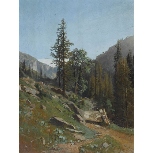 FRIEDRICH ZIMMERMANN : Wanderweg bei Lauenen (DOBIASCHOFSKY AUKTIONEN AG)