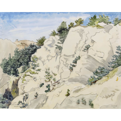 ERICH HECKEL : 'Bewachsene Felsen' (DOBIASCHOFSKY AUKTIONEN AG)