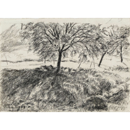 ADOLF DIETRICH : Obstb�ume auf Wiese (DOBIASCHOFSKY AUKTIONEN AG)