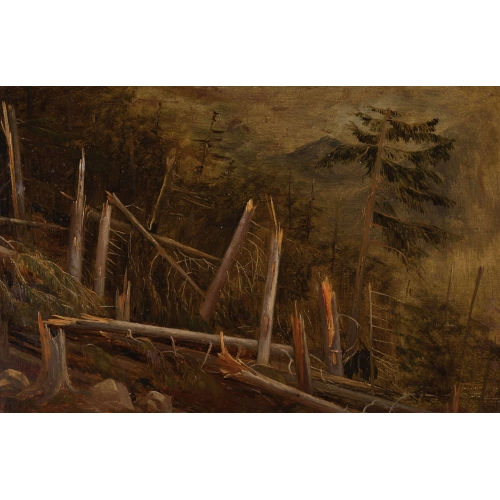 FRAN�OIS DIDAY : 'For�t apr�s l′orage' (DOBIASCHOFSKY AUKTIONEN AG)