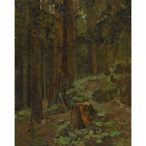 LEO KALMUS : Waldlandschaft (DOBIASCHOFSKY AUKTIONEN AG)