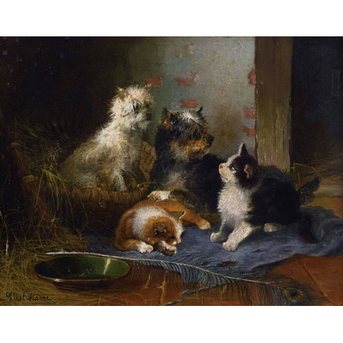 GUSTAV (GEN. SCHWABENMAJER) MAJER : Katzen- und Hundepaar mit Pfauenfeder (DOBIASCHOFSKY AUKTIONEN AG)