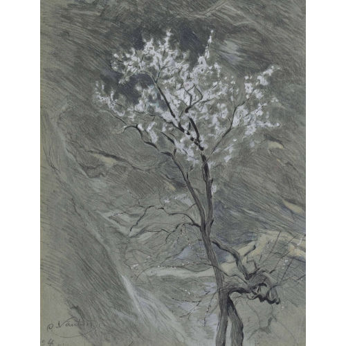 OTTO VAUTIER : Bl�hender Baum (DOBIASCHOFSKY AUKTIONEN AG)