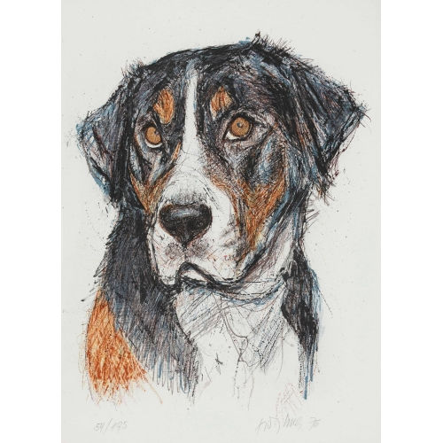 FRITZ HUG : Berner Sennenhund (DOBIASCHOFSKY AUKTIONEN AG)