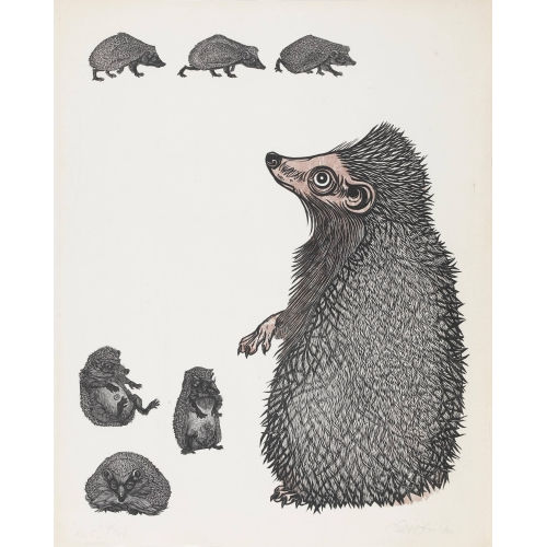 EMIL ZBINDEN : 'Igel mit Jungen' (DOBIASCHOFSKY AUKTIONEN AG)