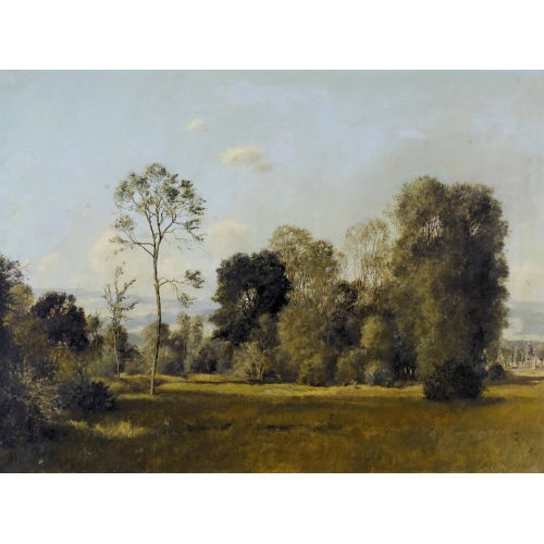 RUDOLF M�LLER : Sommerlicher Waldrand (DOBIASCHOFSKY AUKTIONEN AG)
