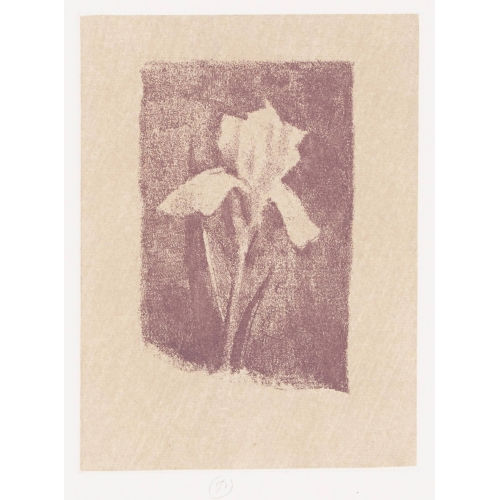 G�RARD DE PAL�ZIEUX : 'Iris violet' (DOBIASCHOFSKY AUKTIONEN AG)