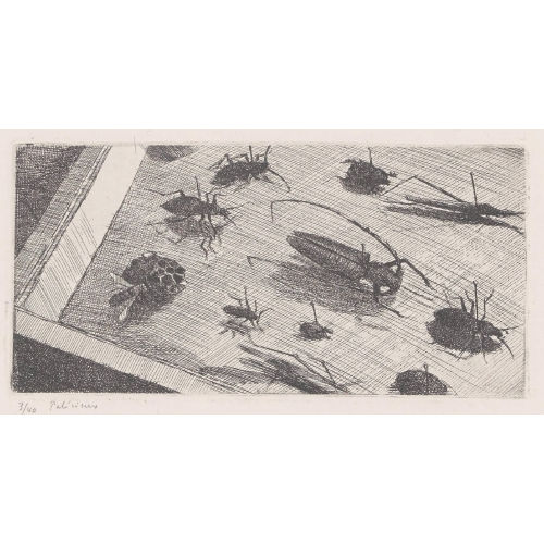 G�RARD DE PAL�ZIEUX : 'Bo�te de Col�opt�res I' (DOBIASCHOFSKY AUKTIONEN AG)