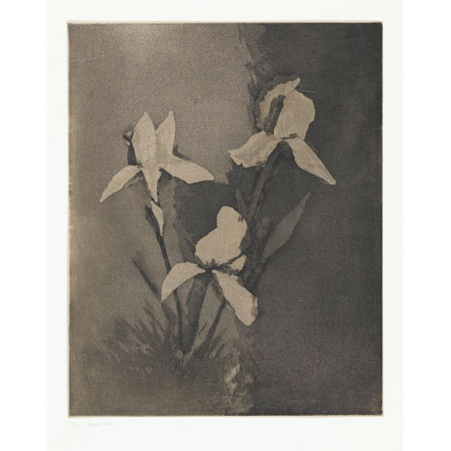 G�RARD DE PAL�ZIEUX : 'Nature morte aux Iris' (DOBIASCHOFSKY AUKTIONEN AG)