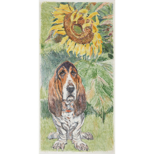FRITZ HUG : Basset Hound (DOBIASCHOFSKY AUKTIONEN AG)