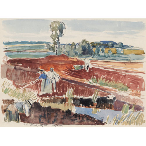 KARL THEOPHIL DICK : 'Torfmoos bei Muri (Aargau)' (DOBIASCHOFSKY AUKTIONEN AG)