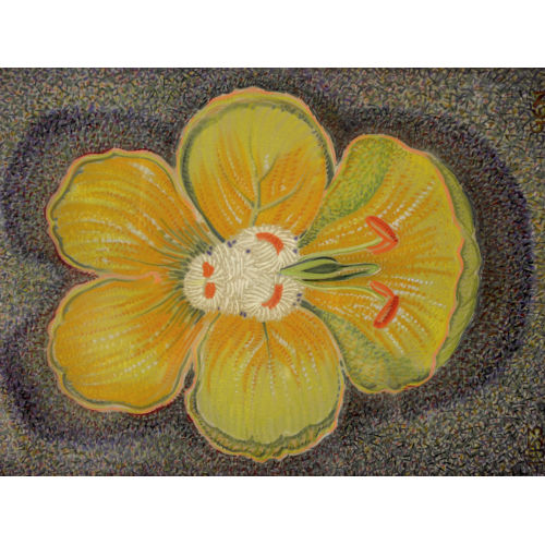 EUGEN (GEN. GEN) NIEDERER : Blume (DOBIASCHOFSKY AUKTIONEN AG)