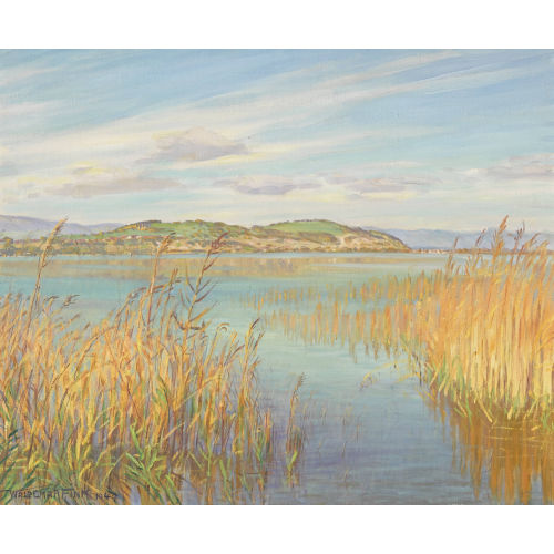 WALDEMAR THEOPHIL FINK : 'Oktobertag am Murtensee' (DOBIASCHOFSKY AUKTIONEN AG)