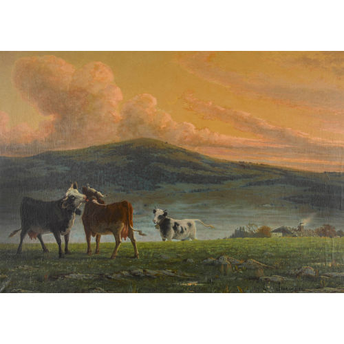 �DOUARD JEANMAIRE : 'Soleil couchant au Jura Neuch�telois' (DOBIASCHOFSKY AUKTIONEN AG)