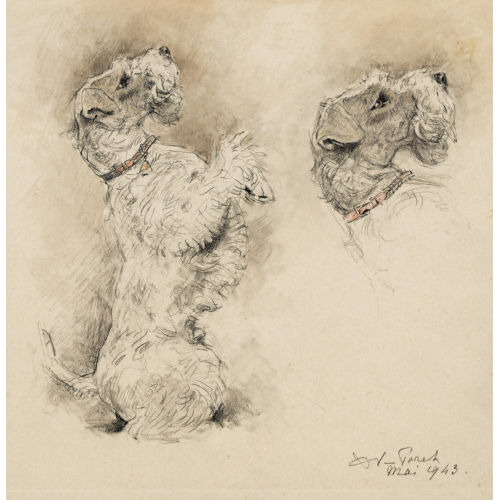 XAVIER DE PORET : Studie zu einem Foxterrier (DOBIASCHOFSKY AUKTIONEN AG)