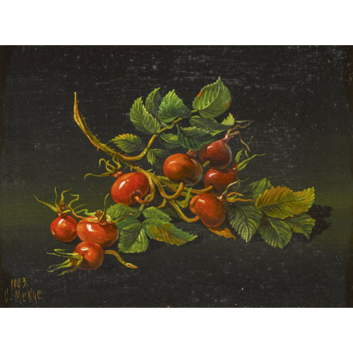 CHARLES MENGE : Nature morte aux cynorrhodons (DOBIASCHOFSKY AUKTIONEN AG)