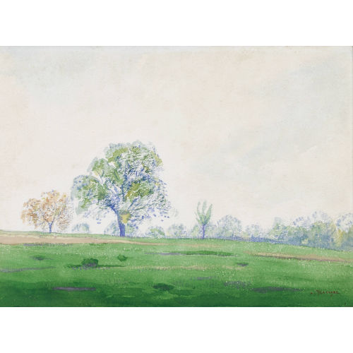 ALBERT TRACHSEL : Sommerliche Wiesenlandschaft (DOBIASCHOFSKY AUKTIONEN AG)