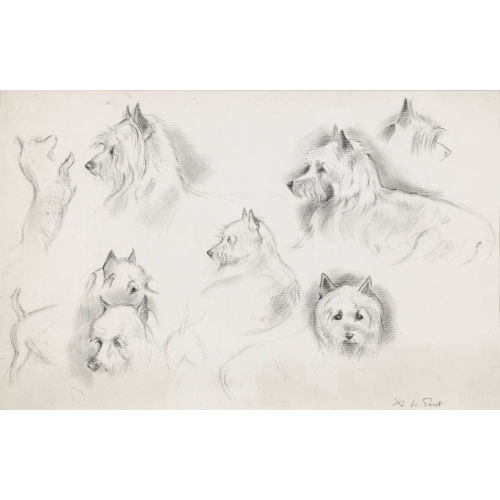 XAVIER DE PORET : Hundestudien (DOBIASCHOFSKY AUKTIONEN AG)