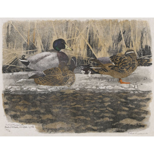 ROBERT HAINARD : 'Colverts sur la glace et sarcelle d′�t�' (DOBIASCHOFSKY AUKTIONEN AG)