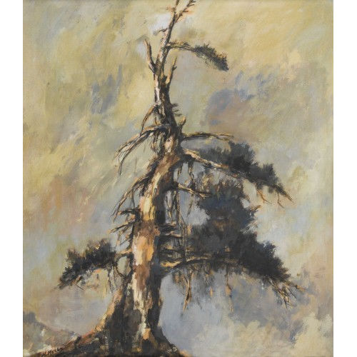 WALTER KREBS : Alte Arve (DOBIASCHOFSKY AUKTIONEN AG)
