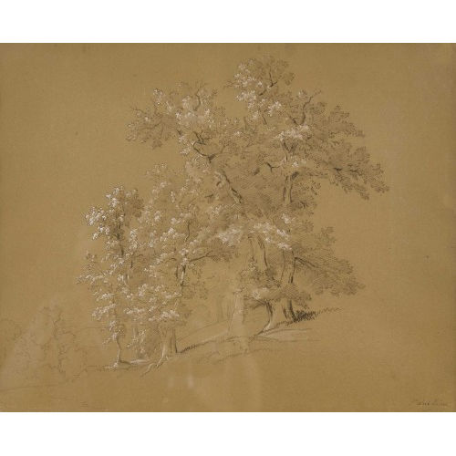 JEAN-ANTOINE LINCK : Baumstudie (DOBIASCHOFSKY AUKTIONEN AG)