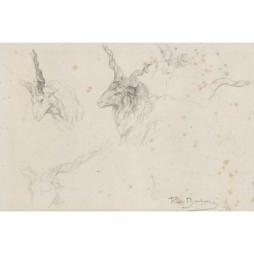 ROSA BONHEUR : �tude de t�tes de b�lier (DOBIASCHOFSKY AUKTIONEN AG)