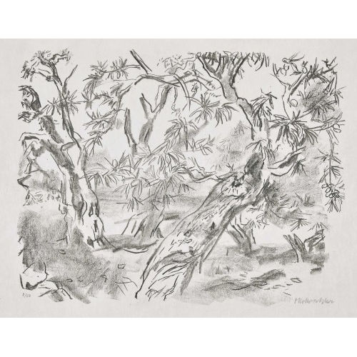 OSKAR KOKOSCHKA : 'Mandelb�ume' (DOBIASCHOFSKY AUKTIONEN AG)
