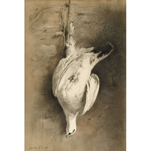 XAVIER DE PORET : Nature morte au lagop�de (DOBIASCHOFSKY AUKTIONEN AG)