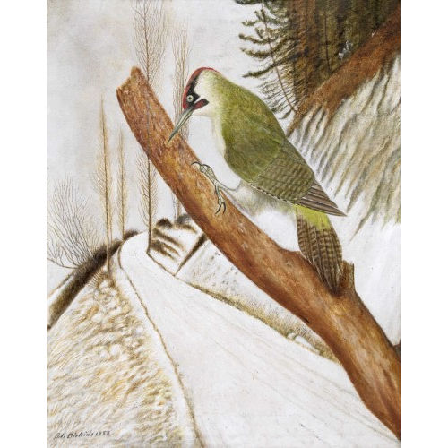 ADOLF DIETRICH : 'Gr�nspecht in Winterlandschaft' (DOBIASCHOFSKY AUKTIONEN AG)